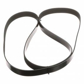 Riemen Case 87301964