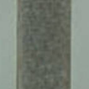 Luftfilter (Af25425) Case