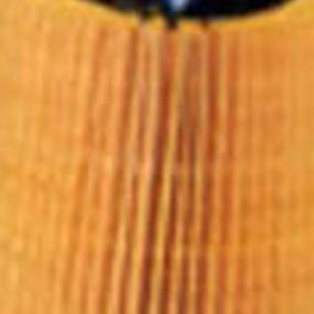 Luftfilter (Af25682) Case