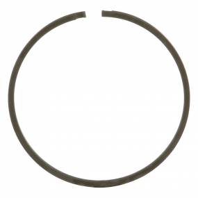Ring Case
