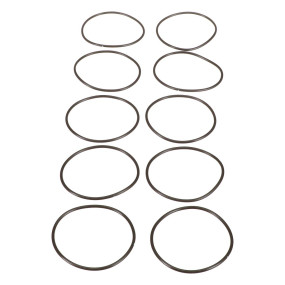 O-Ring Case 86012299