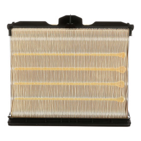 Luftfilter (21.61791) Case