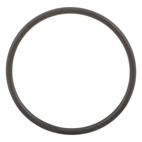 O-Ring Case 87016962