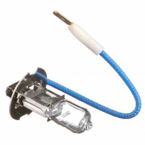 Glühlampe (92242C1) Case