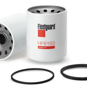 Hydraulikölfilter (Hf6163) Case