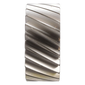 Ritzel Case