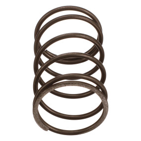 Feder Case 455097