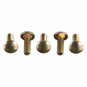 Schlossschraube Case