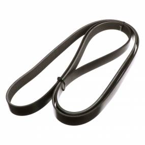 Riemen Case