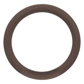 O-Ring Case 87271159