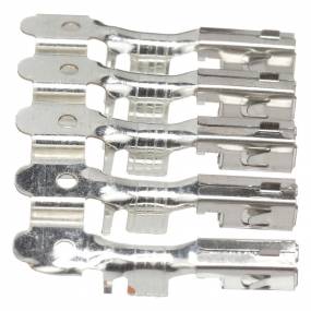 Anschlussstecker Case