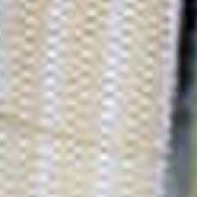 Luftfilter (Af25675) Case