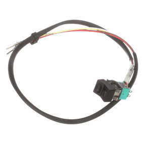 Schalter Case BN321530