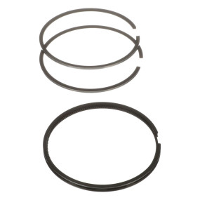 O-Ring Satz Case