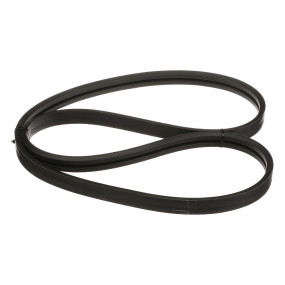 Riemen Case 84548651