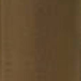 Luftfilter (Af4719) Case