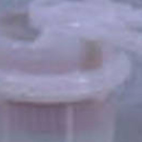 Kraftstofffilter (Ff5174) Case