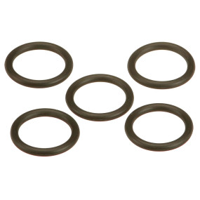 O-Ring (Sba052110150) Case