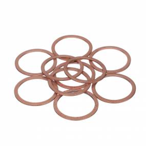 Dichtung, Flach (261624R1) Case