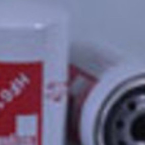 Hydraulikölfilter (Hf6121) Case