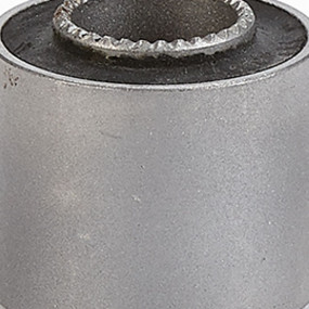 Dichtring (583768R91) Case