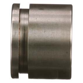 Kolben Case SBA344760330