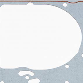 Dichtung, Flach (1986857C1) Case