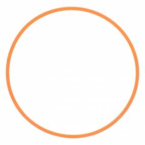 Dichtring Case 281408A1