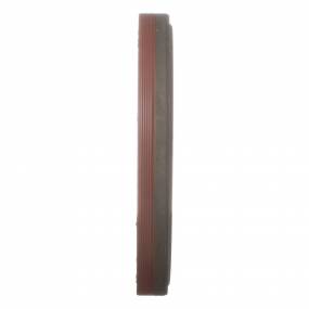 Dichtung Case
