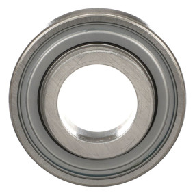 Rollenlager, Zylindr (587015R92) Case