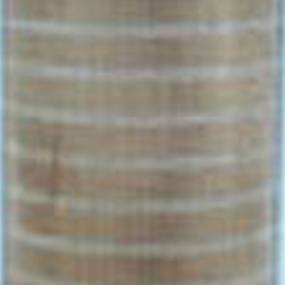 Luftfilter (Af4676) Case