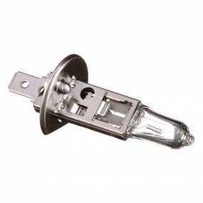 Glühlampe Case Glühlampe Case