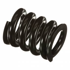 Druckfeder (19302K) Case