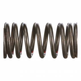Ventilfeder Case