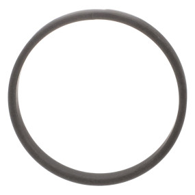 Ring (G105187) Case