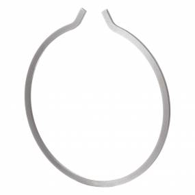 Sprengring Case 5136132