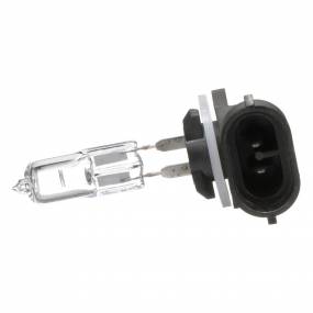 Glühlampe Case