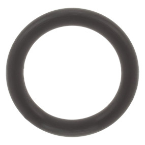 O-Ring Case 86993475