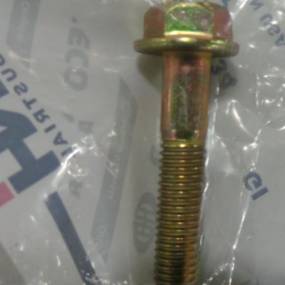 Schraube mit Flansch Case