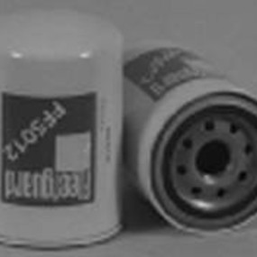 Kraftstofffilter (Ff5012J) Case