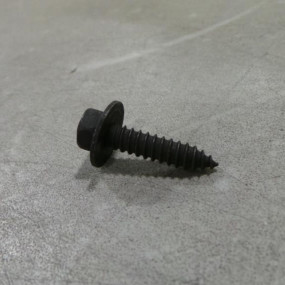 Schraube, Selbstschn (111618C2) Case