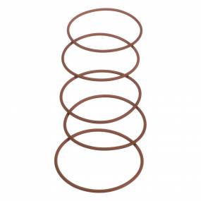 O-Ring Case