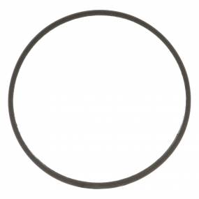 Dichtung Case 407387A1