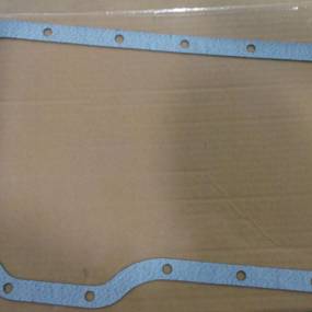 Dichtung, Flach (46109Db) Case