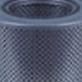Kraftstofffilter (Fs1279) Case