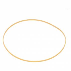 Dichtring Case 1286079C1