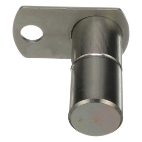 Bolzen Case 84259556