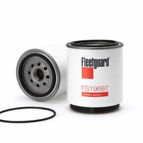 Kraftstofffilter (Fs19687) Case