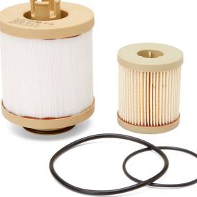 Kraftstofffilter (Fs19797) Case