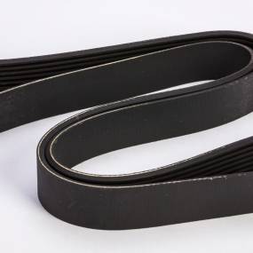 Riemen Case 87705737